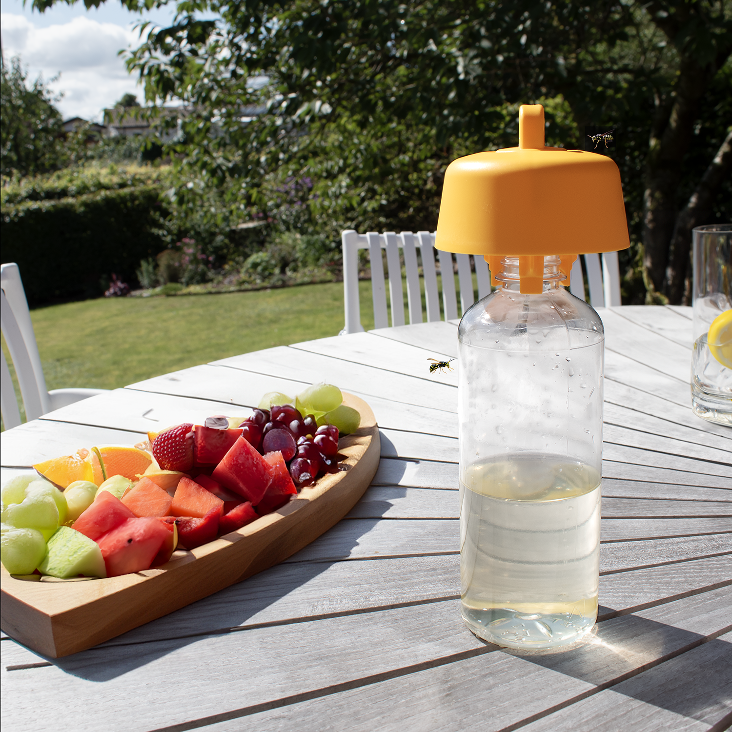 SafeTrap Hvepsefælde Trapcap komplet SafeTrap Hvepsefælde Trapcap komplet