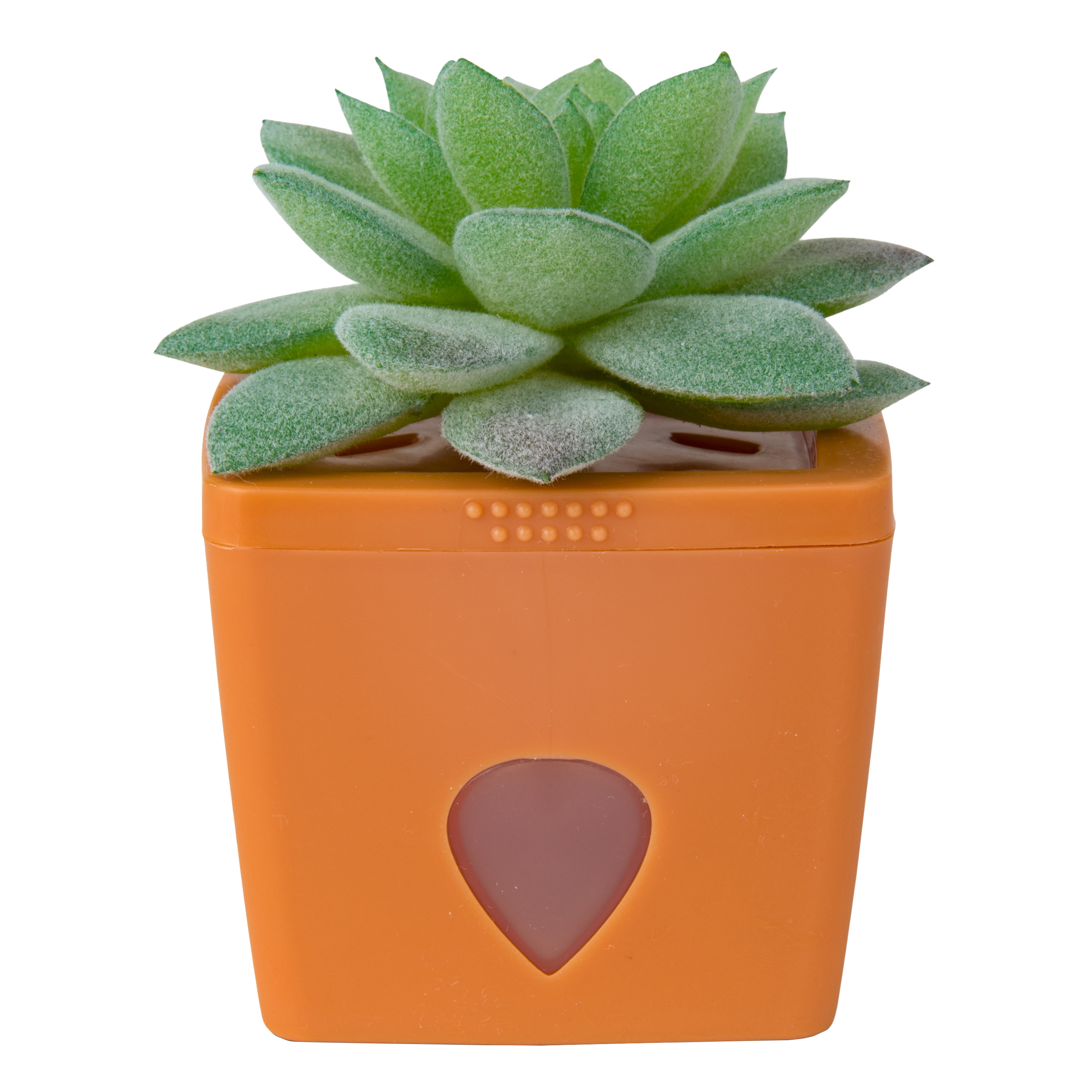 ZendoZones® Bananfluefælde, Tranquil Tabitha, terracotta